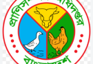 প্রাণিসম্পদ অধিদপ্তরে ৫৩৮ জন নিয়োগ, আবেদন শুরু ১৫ সেপ্টেম্বর