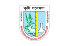 বাংলাদেশ কৃষি গবেষণা ইনস্টিটিউটে ৩০১ জনের বড় নিয়োগ