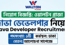 ওয়ালটন প্লাজায় জাভা ডেভেলপার নিয়োগ